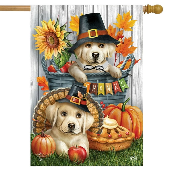 Briarwood Lane Pilgrim Puppies House Flag