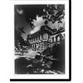 thumbnail image 2 of Historic Framed Print, [Library of Congress Thomas Jefferson Building, exterior front, showing stairway], 17-7/8" x 21-7/8", 2 of 9