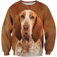 thumbnail image 3 of Suéteres nuevos para hombre para otoño e invierno, sudaderas con capucha con estampado de perro y animal en 3D, sudaderas casuales de moda para deportes callejeros para hombre, 3 of 5