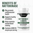 thumbnail image 4 of Probase Nutrition Nattokinase Supplement 4,000 FU Servings, 120 Capsules (Derived from Japanese Natto) Systemic Enzymes for Cardiovascular and Circulatory Support, 4 of 7