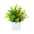 thumbnail image 1 of 1 pieza de plantas artificiales, plantas falsas, plantas verdes, 1 of 6