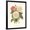 Black Frame, variant on Art.com Vintage Roses II Art Print by Vision Studio, 12" x 16"