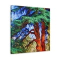 thumbnail image 2 of Cedar Tree Fauvism - Canvas, 2 of 10