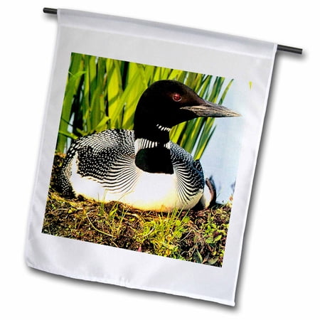 Loon Duck 12 x 18 inch Garden Flag fl-709-1