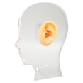 thumbnail image 1 of Molde de exhibición profesional de silicona suave para simulación de modelo de oreja con soporte acrílico para audífonos y pendientes., 1 of 14