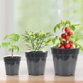 thumbnail image 2 of 10pcs Transparent Plastic Planting Pots Breathable Transplant Pots Flower Pots 4 inches, 2 of 7