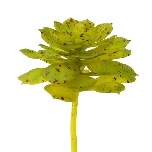 Vickerman 6" Artificial Green and Brown Spotted Echeveria Pick, Set of 3