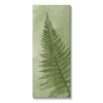 Detailed Green Fern Leaf Botanical & Floral Graphic Art Gallery Wrapped Canvas Print Wall Art