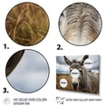 thumbnail image 3 of Designart "Gentle Companion Grey Donkey" Animals Floater Framed Wall Decor, 3 of 7