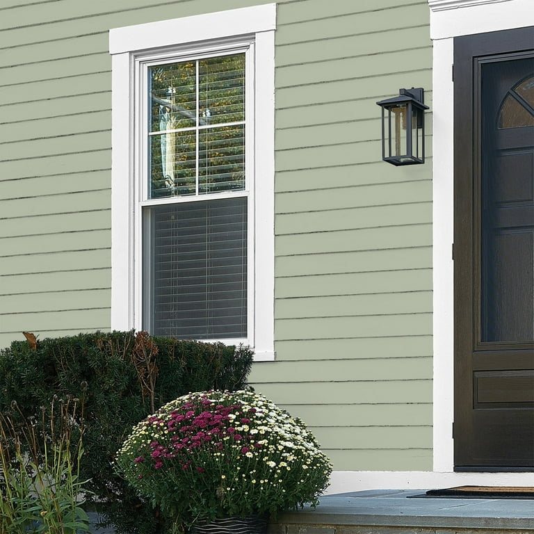 Light sage green paint discount