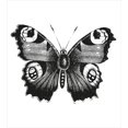 thumbnail image 2 of Ensemble de Housse de Couette Blanche, Style Vintage Faune Papillon Vanessa, 2 of 6