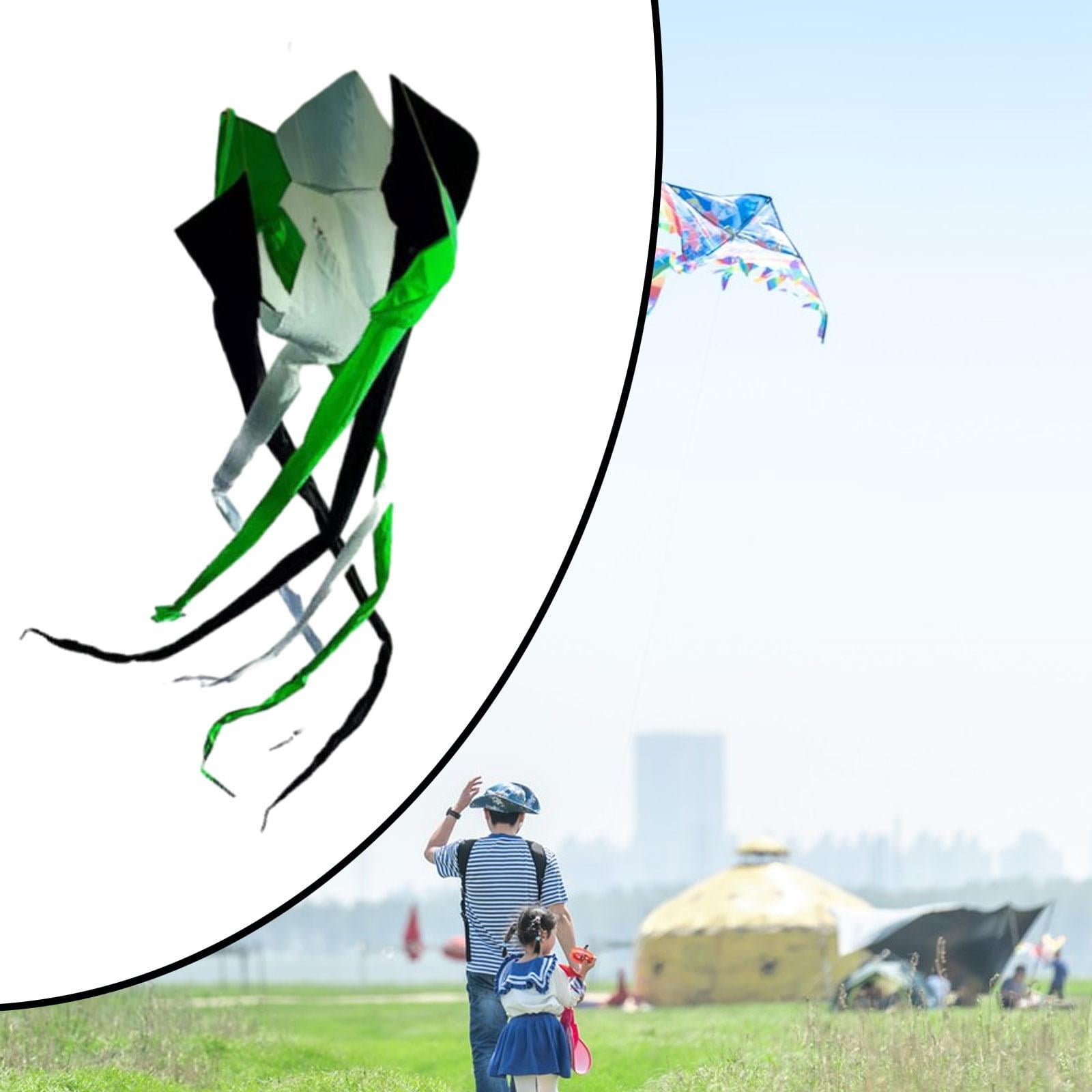Baoblaze Long Tail Kite Decorative Popular Rotating Tube Kite for Park Grasslands Sea Black White Green