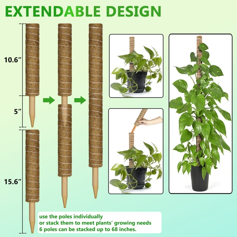 LANNEY 68 Inch Moss Pole for Climbing Plants, 6 Pack Natural Coir
