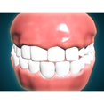 thumbnail image 2 of Front view of human mouth with teeth and gums Poster Print, 2 of 2