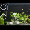 thumbnail image 3 of Anillo de Entrenamiento para Peces Betta Accesorios de Acuario Herramienta de Entrenamiento para Peces Betta Mejora la Actividad de los Peces Blanco 1 Set, 3 of 6
