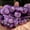 Amethyst, variant on Natural Stone Beads 4 6 8 10mm Tiger Eye Lava Amazonite Turquoises Agates Jaspers Beads For Jewelry Making DIY Bracelet Necklace
