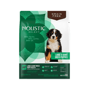 Angle View: Holistic Select Natural Grain Free Dry Dog Food, Large & Giant Breed Puppy Recipe, 12-Pound Bag