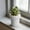 White, variant on Uuiauoio Artificial Faux Succulents in Pots Fake Plants Plastic Arrangement Planter Small Mini Tiny Decoration for Home Office Desk Window Sill Bathroom Bedroom Outdoor Indoor