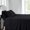 Black, variant on Luxury 100% Cotton 600 Thread Count Sheets Damask Striped Bed Sheets Set - Twin-XL - Bronze