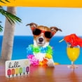 thumbnail image 4 of Hello Summer with Popsicles Sign Wooden Hello Summer Sign Block Decor Rustic Hello Summer Wooden Sign for Tiered Tray Decor Home Indoor and Outdoor, 5.5 x 3.3 Inch, 4 of 7