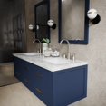 thumbnail image 5 of Castor 60 in W Blue Double Bath Vanity, 5 of 7