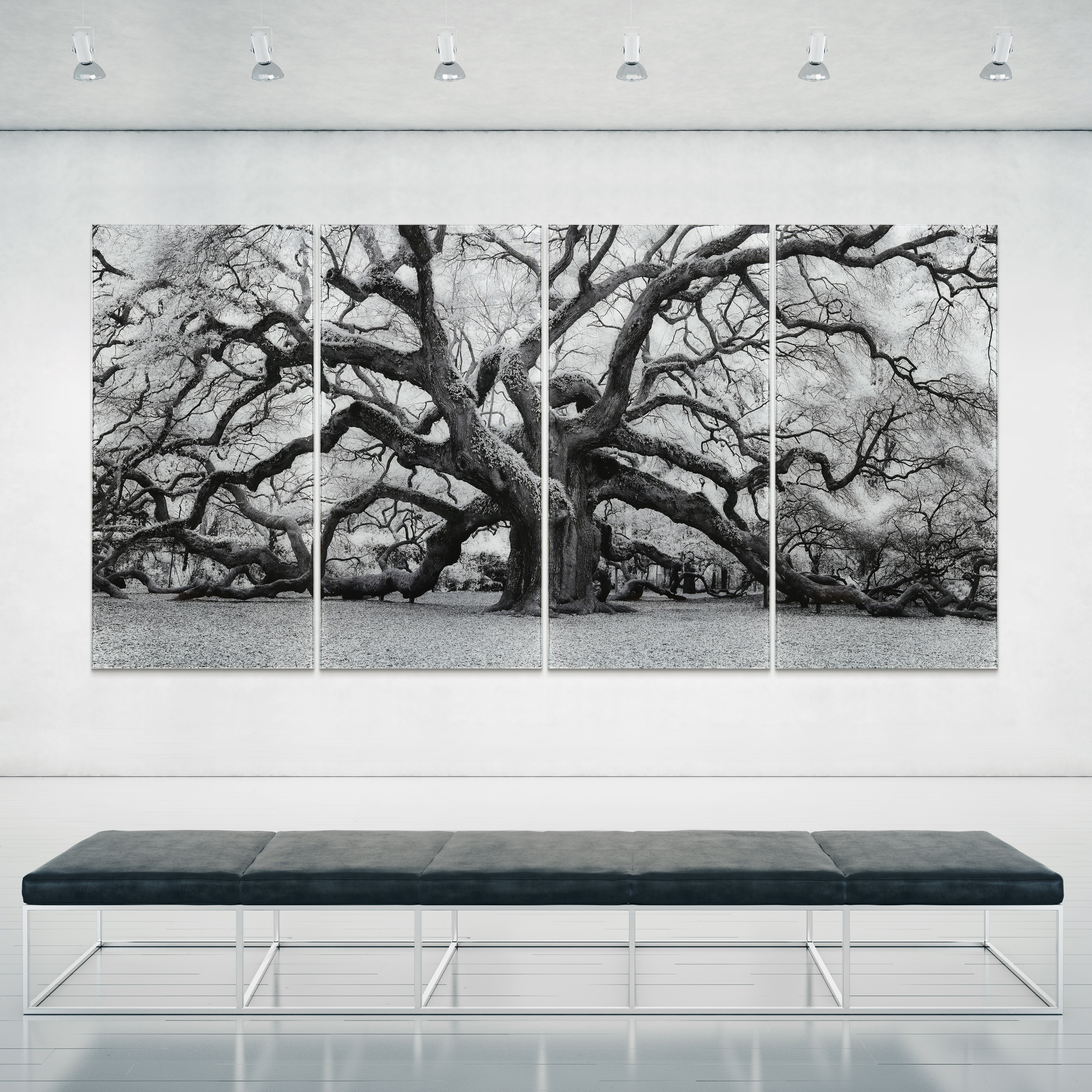 Growth ABCD 36 in x 72 in Mixed Media Art, by Empire Art 4 Count