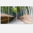 thumbnail image 2 of Straight Path in Bamboo Forest - Forest Canvas Wall Art Print, 2 of 3