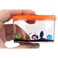 thumbnail image 3 of JA-RU Magic Grow Fish Aquarium (6 Packs Assorted) Magic Grow with Water Toy. Growing Sea Friends in The Fish Tank. Great Fidget Toy for Learning. Great Party Favor Toy for Kids and Adults. 3, 3 of 5