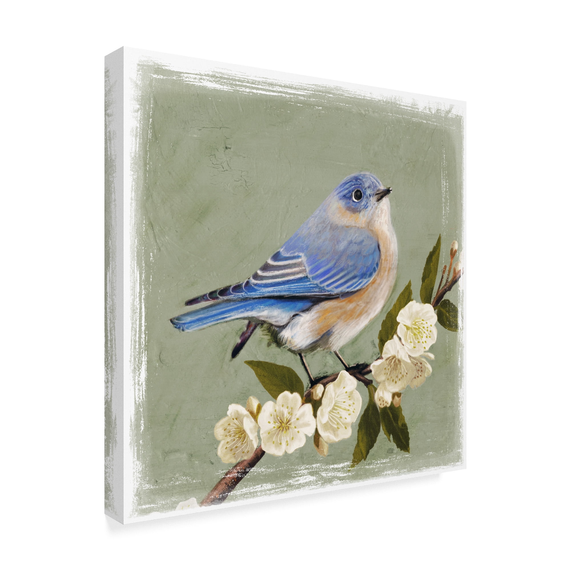 Bluebird Branch I' Canvas Art by Victoria Borges