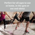 thumbnail image 5 of Sports Exercise Resistance Bands Set, Fitness Stretch Workout Kit, 5 Tubes, 2 Foam Handles, 2 Ankle Straps, Door Anchor for Men Women, Home Gym Equipm, 5 of 5