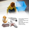 thumbnail image 4 of Jouet de Simulation Animale, Modèle Animal de Simulation Réaliste et Exquis pour l'Éducation, 4 of 8