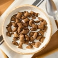 thumbnail image 2 of Great Value Crunchy Peanut Butter Filled Breakfast Cereal Bites, 18 oz, 2 of 8