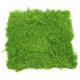 thumbnail image 1 of GOOHOCHY Micropaisaje Musgo Artificial Musgo Falso Mini Jardín Paisajismo Accesorio Adorno Musgo Falso, 1 of 8
