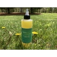thumbnail image 5 of Rosemary Hair Growth Oil With & Grapeseed Oil for Healthy Hair Growth 8.5FL OZ, 5 of 7