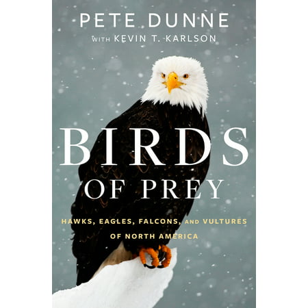 Birds of Prey : Hawks, Eagles, Falcons, and Vultures of North