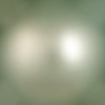 thumbnail image 5 of Vickerman 2.75" Frosty Mint Matte Ball Ornament, 12 per Bag, 5 of 6