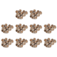thumbnail image 1 of Bandeja Inicio Grano Jiffy 30mm Bloque Nutritivo (5 Uds.), 1 of 7