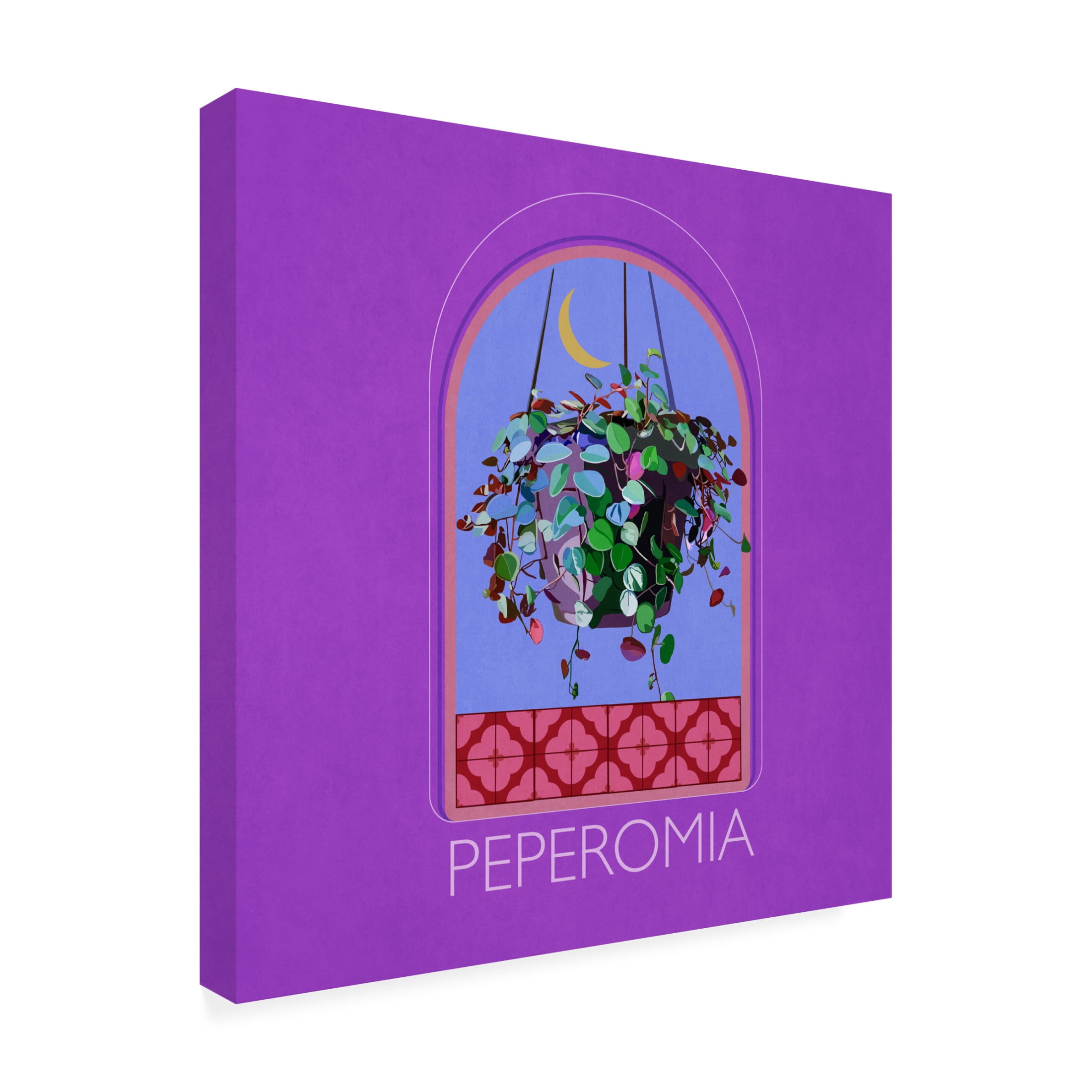Trademark Fine Art Emel Tunaboylu Green Sets Peperomia Canvas Wall Art