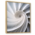 thumbnail image 2 of Designart "Infinite Ivory Seashell Spiral I" Nautilus Floater Framed Canvas Prints, 2 of 5