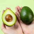 thumbnail image 3 of 4 piezas de aguacate artificial de media fruta, accesorios para fotografía, modelos de aguacate., 3 of 7