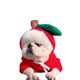 thumbnail image 2 of Fiudx Suéter Polar para Perros Pequeños, Algodón Suave, Manga Larga, Ropa de Invierno, Cómodo y Elegante, Talla Xs, Fácil de Usar, 30 Cm de Busto, 20 Cm de Largo., 2 of 4