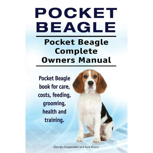 beagle grooming