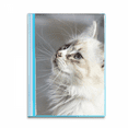 thumbnail image 1 of Profil d'Animal de Compagnie Chat Blanc Mignon Protège-Feuilles Classeur Portfolio, 1 of 3