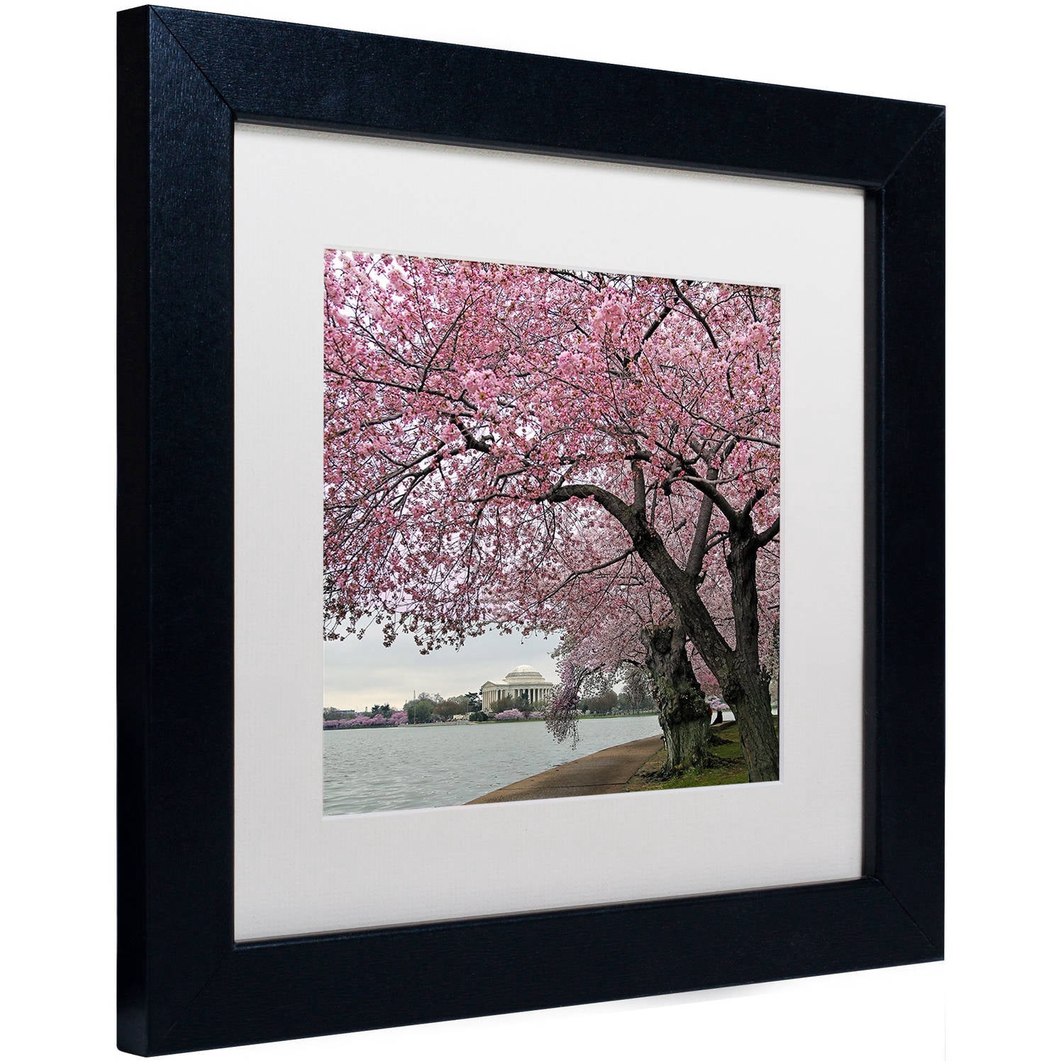 Trademark Fine Art "Tidal Basin Blossoms" Canvas Art by CATeyes, White Matte, Black Frame