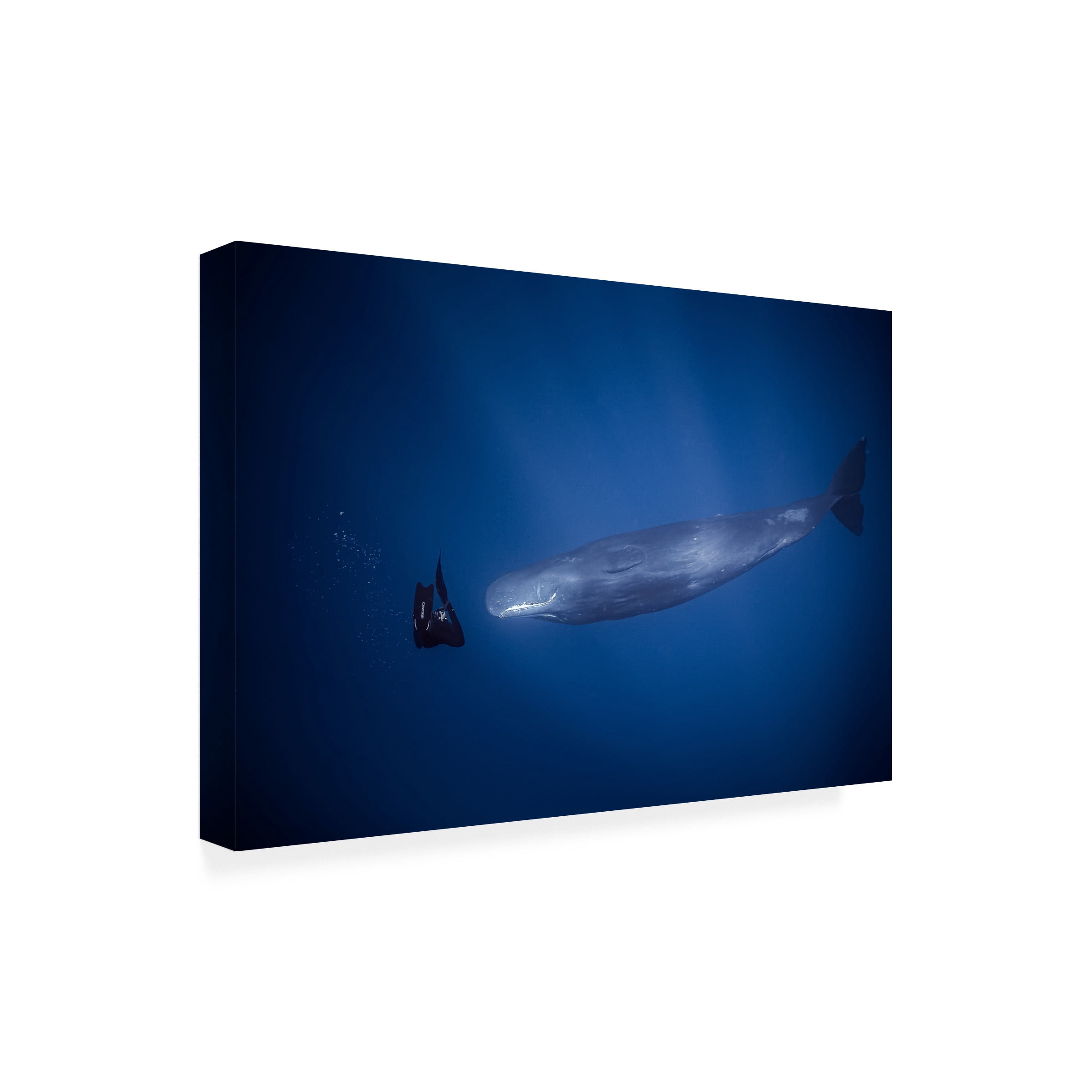 Seb 'Encounter With Sperm Whales' Canvas Art