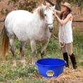 thumbnail image 4 of Little Giant 6.5 Gallon Plastic All Purpose Plastic Pond Tub w/ Grips, Blue, 4 of 10