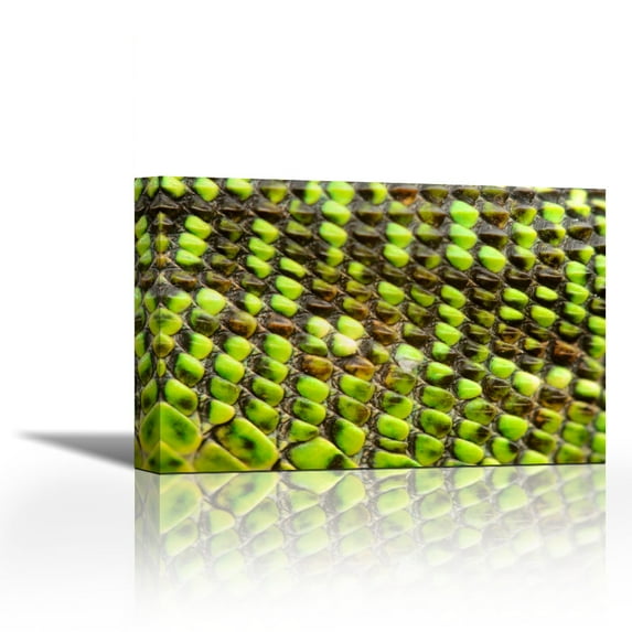 European Green Lizard Scales - Contemporary Fine Art Giclee on Canvas Gallery Wrap - wall décor - Art painting - 26 x 17 Inch - Ready to Hang