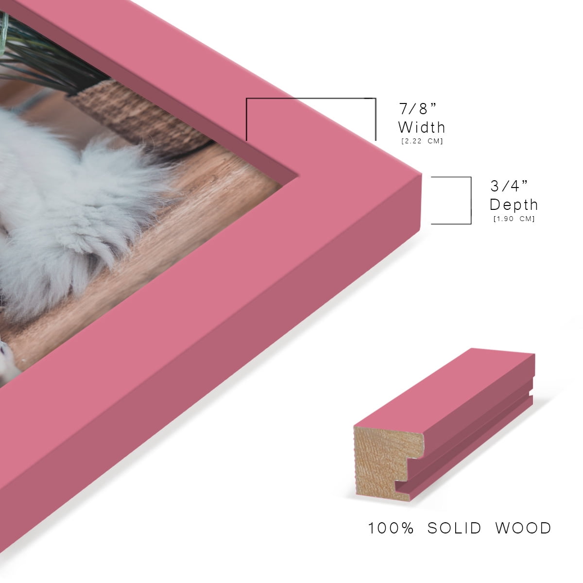 Modern 6 in. x 8 in. Hot Pink Picture Frame (Set of 4)