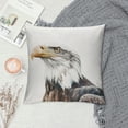 thumbnail image 2 of Orinice Bald Eagle Symbolism Graphic Decorative Cushion Throw Pillow Cover for Home Couch Living Room Sofa Bedroom 1PC Short Plush All Year Use 18x18in, 2 of 5
