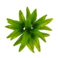 thumbnail image 4 of Faux Ferns For Outdoor Planter Large, UV Resistant Lifelike Artificial Fern, 4 of 5